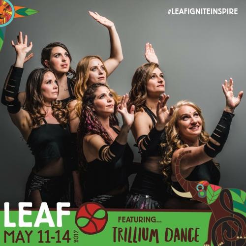 2017 LEAF Announcement 