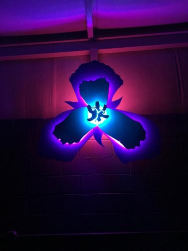 Trillium Dance Studio Sign